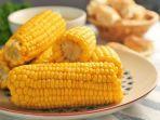 manfaat-jagung-rebus.jpg