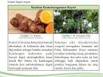 manfaat-keanekaragaman-hayati-2.jpg