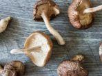 manfaat-kesehatan-jamur-shitake.jpg