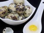 manfaat-telur-puyuh-bagi-kesehatan-111.jpg