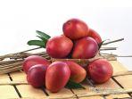 mangga-tainan-taiwan.jpg