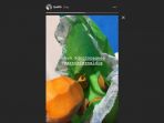 mangga_20181002_230131.jpg