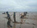mangrove-12.jpg