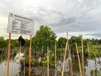 mangrove-di-papua-2929.jpg