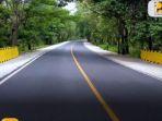 marka-kuning-membujur-horizontal-di-tengah-jalan-makna-artinya.jpg