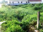 masyarakat-kecewa-program-drainase-pemkot-belum-rampung-benar_20160511_133834.jpg