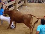 matador_20150818_215052.jpg