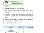 matematika-kelas-6-halaman-95-er.jpg