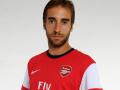 mathieu-flamini-arsenal.jpg