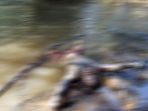 mayat-ditemukan-di-sungai-depok_20180410_164305.jpg