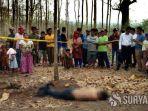 mayat-laki-laki-tak-dikenal-ditemukan-dalam-hutan.jpg