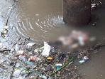 mayat-mengambang-di-cengkareng-drain_20180423_131732.jpg