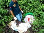 mayat-perempuan-dalam-tong-plastik.jpg