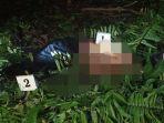 mayat-pria-ditemukan-di-kebun-karet-di-dusun-1-desa-taja-indah-kecamatan-betung.jpg