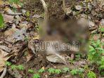 mayat-pria-tanpa-busana-di-tengah-hutan-jati-kawasan-gunung-butak-wilayah.jpg