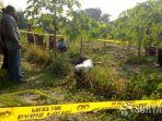 mayat-pria-tergeletak-di-tengah-kebun-pepaya.jpg