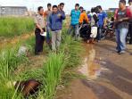 mayat-wanita-ditemukan-di-pinggir-parit_1_20161017_121553.jpg