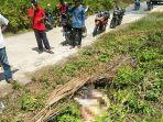 mayat-wanita-tanpa-kepala-di-dumai.jpg