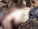 WNA asal Tiongkok Ditemukan Tak Bernyawa di sungai kering Desa Silawan Kabupaten Belu