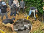 Kronologi Penemuan Dua Mayat Petani di Kebun Alpukat Singkawang yang Diduga Korban Pembunuhan