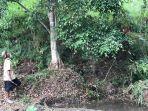 mbah-sadiman-tanam-pohon-beringin.jpg