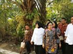 megawati-soekarnoputri_20170911_181007.jpg