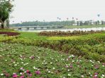 meikarta_20170907_085947.jpg