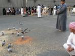 mekkah_20151114_080515.jpg