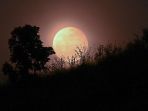 melihat-gerhana-bulan-total-di-berbagai-negara_20221109_072606.jpg