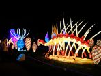 melihat-warna-warni-festival-cahaya-di-taman-paris_20211129_072434.jpg