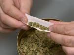 melinting-ganja.jpg