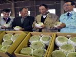melon-ibaraki-jepang_20170322_081209.jpg