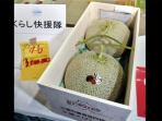 melon-nih2_20160526_205448.jpg