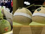 melon-yubari_20180528_041114.jpg