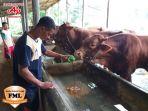 memanfaatkan-sisa-proses-pembuatan-monosodium-glutamat-msg-untuk-mengh.jpg