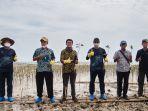 menanam-sebanyak-2022-bibit-tanaman-mangrove-kalbe-nutritionals.jpg