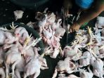 Harga Daging Ayam Naik Jelang Ramadan, Kemendag: Belum Lampaui Harga Acuan dari Bapanas