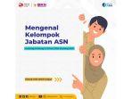 mengenal-kelompok-jabatan-asn-ada-fungsional-hingga-pimpinan-tinggi.jpg