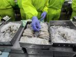 18 Kontainer Udang Reimpor dari AS Duji Berlapis, Hasilnya Bebas Kontaminasi, Aman Dikonsumsi