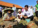 mentan-amran-berdialog-dengan-petani-bawang-di-brebes.jpg