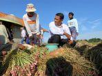 mentan-amran-berdialog-dengan-petani-bawang-di-brebes_1.jpg