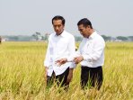 mentan-amran-berdialog-dengan-presiden-jokowi_20151012_092650.jpg