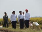 mentan-jokowi-di-karawang_20150928_104349.jpg