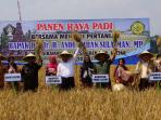 mentan-panen-raya-di-blitar_20150930_102659.jpg