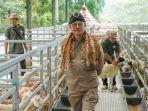 mentan-syl-di-rajendra-farm.jpg