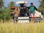 mentan-syl-dorong-petani-di-kabupaten-pinrang-segera-percepat-masa-tanam.jpg