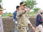 mentan-syl-kejar-tanam-jagung-di-jeneponto.jpg