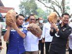 mentan-syl-lepas-kembali-ekspor-porang-ke-china.jpg