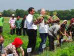 menteri-amran-dan-menteri-enggartiasto-bawang-merah-brebes_20160815_013138.jpg