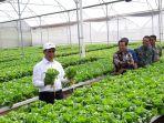 menteri-amran-melepas-ekspor-sayuran.jpg